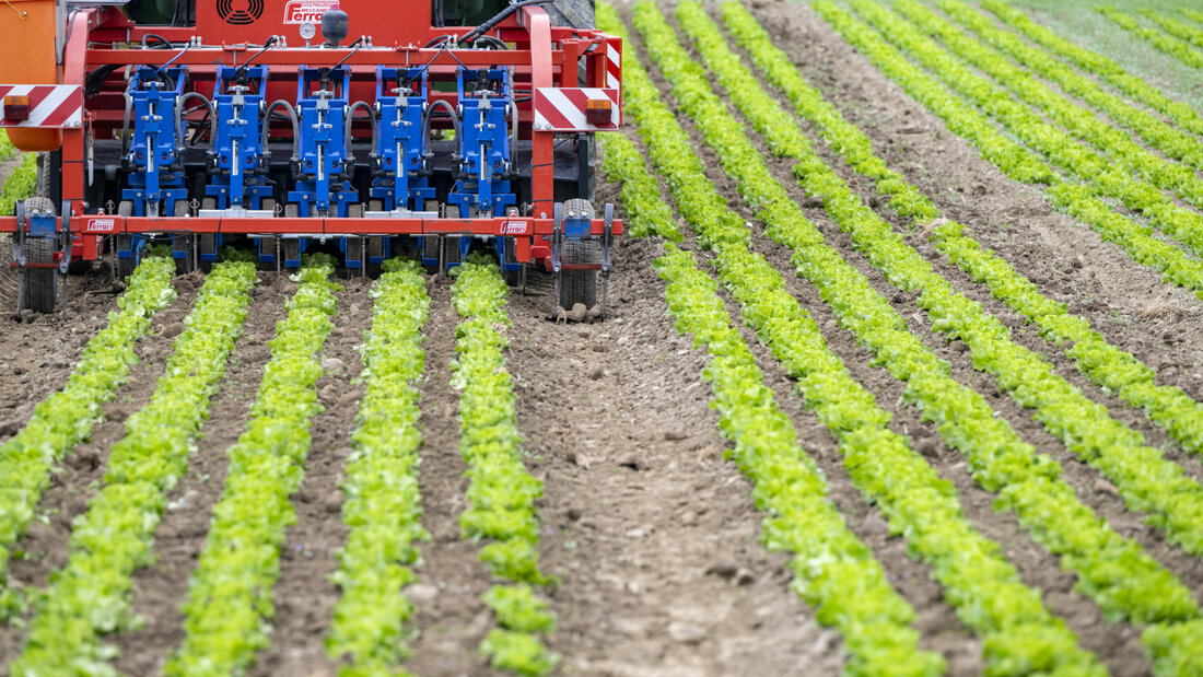 Die Sicherstellung von ausreichenden Wasservorräten für die Landwirtschaft ist eines der Ziele des Thurgauer Klima-Massnahmenplans. (Archivbild) 20260826151224828.jpg