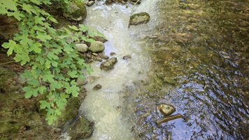 Kantonspolizei Freiburg 20260523122903782.jpg