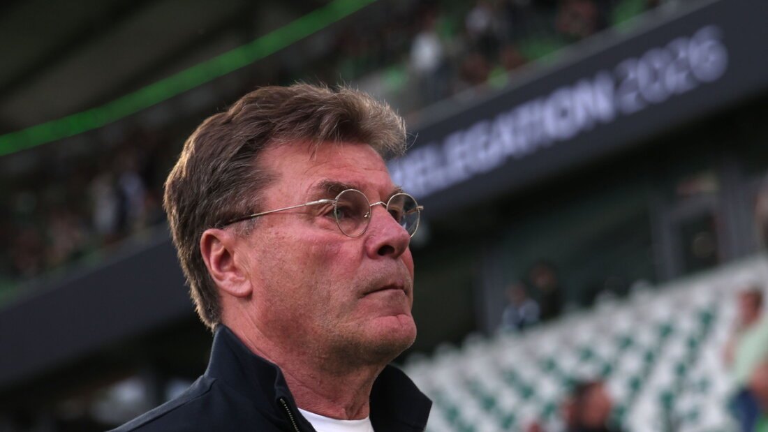 Wolfsburgs Trainer Dieter Hecking muss mit seinem Team weiter um den Verbleib in der Bundesliga zittern 20260521223210267.jpg