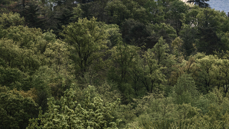 KEYSTONE/CHRISTIAN BEUTLER 20260325103123568.jpg