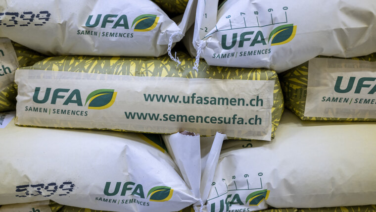 KEYSTONE/PETER SCHNEIDER 20250513093722048.jpg