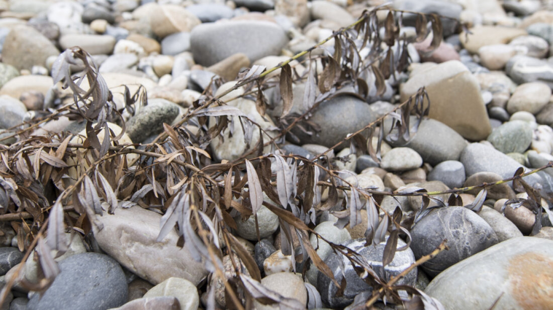 Damit ein Flussbett nicht austrocknet, müssen Wasserkraftwerke eine bestimmte Menge an Wasser im Fluss lassen: das sogenannte Restwasser. (Symbolbild) 20260224083041611.jpg