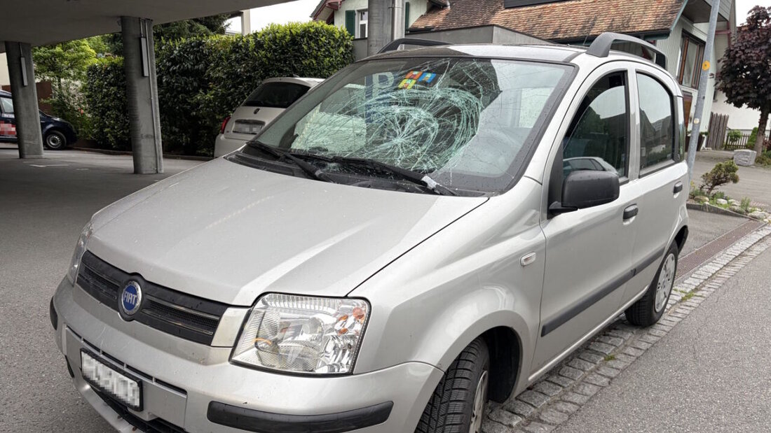 Ein 40-jähriger Fussgänger wurde mit seinem Blindenhund in Widnau SG von einem Auto erfasst. 20260511090228571.jpg