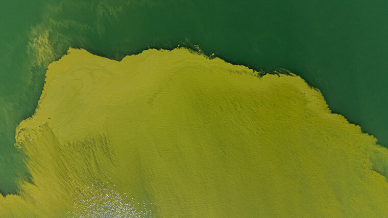 KEYSTONE/TI-PRESS/ELIA BIANCHI 20250905130935209.jpg