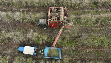 KEYSTONE/AP/ANDRE PENNER 20251107145217665.jpg