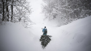 KEYSTONE/GIAN EHRENZELLER 20251216123159850.jpg