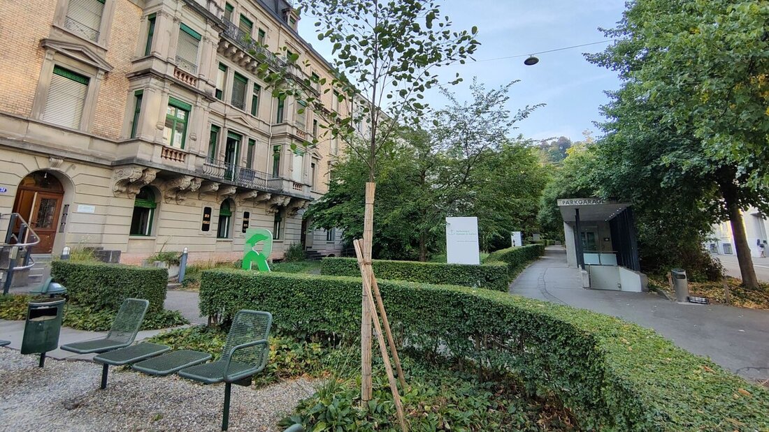Die Stadt St. Gallen fördert die Pflanzung von einheimischen Bäumen auf dem Stadtgebiet. 20260714111628388.jpg