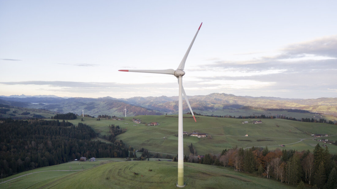 Ein Forschungsteam zeigt, dass bei Windrädern ein Mini-Stromverlust Millionen von Vögeln retten könnte. (Symbolbild) 20260610083555550.jpg