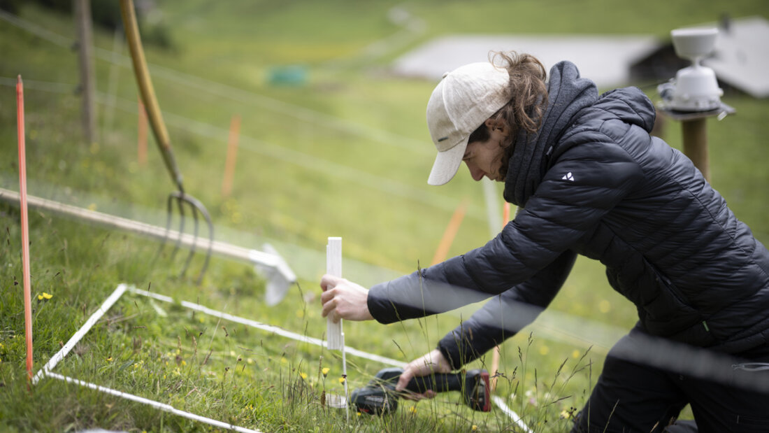 Das Forschungsinstitut für den Schweizer Landwirtschafts- und Lebensmittelsektor Agroscope muss sparen und streicht deshalb 58 Stellen. Das landwirtschaftliche Forschungszentrum des Bundes reagiert damit auf ein Defizit von 10 Millionen Franken. (Archiv) 20260616132027442.jpg