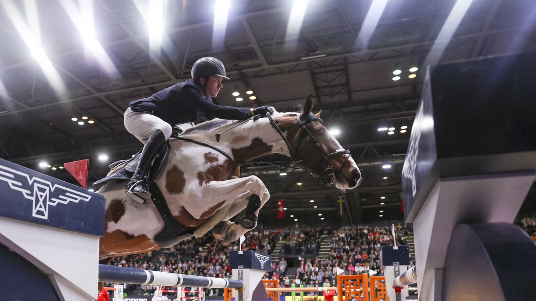 Setzt die Premier Jumping League das Springreiten neu ins Scheinwerferlicht? 20260923050023395.jpg