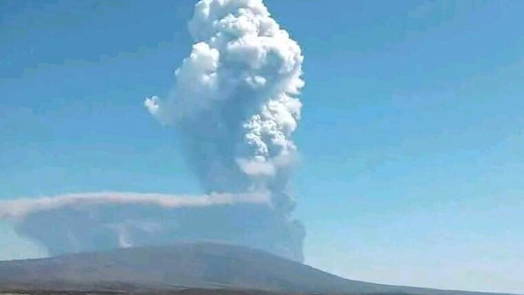 Keystone/Afar Government Communication Bureau/AP/Uncredited 20251124182432545.jpg