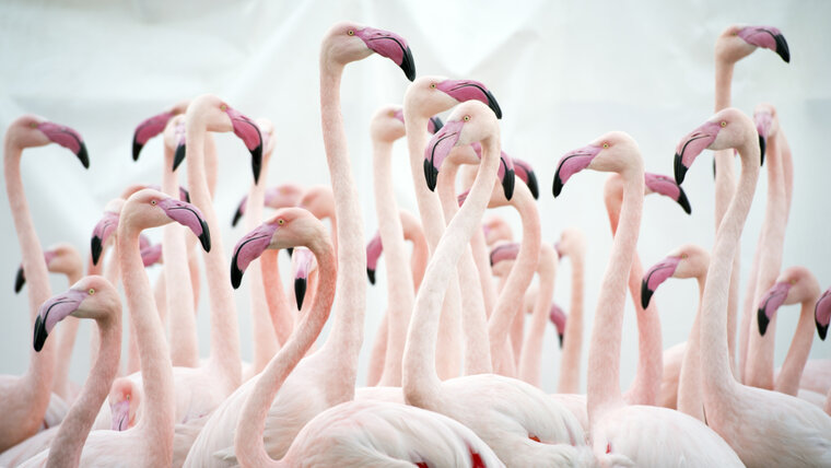 KEYSTONE/ANTHONY ANEX 20251112100858787.jpg