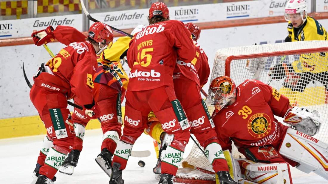 Die SCL Tigers nahmen die Einladung an den Spengler Cup an 20260131194210216.jpg