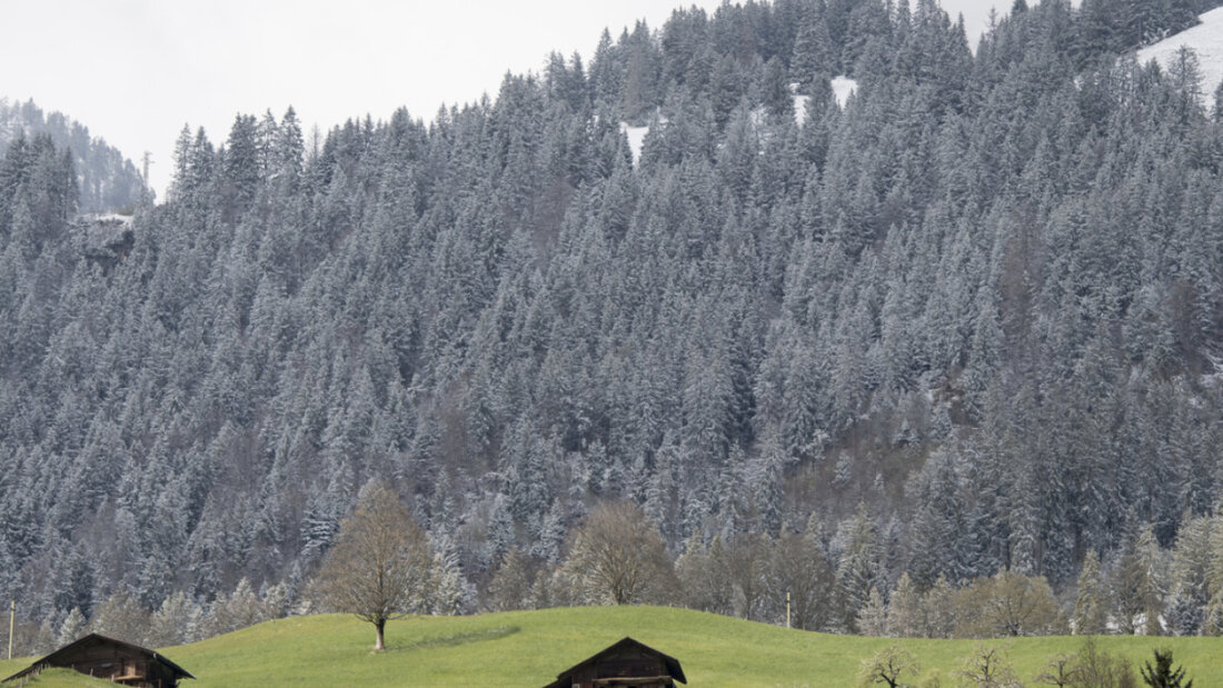 In Erlenbach im Simmental verunfallte vor zwei Wochen ein Mountainbiker. Nun erlag er seinen Verletzungen. (Symbolbild) 20251126115209760.jpg