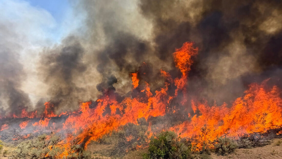Viele Regionen in den USA haben derzeit mit Waldbränden zu kämpfen. Jetzt ist es in Utah zum Absturz eines Löschhelikopters gekommen. 20260808005558494.jpg