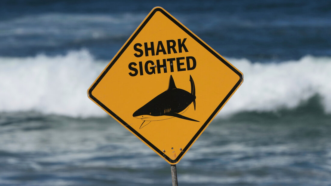 ARCHIV - Ein Schild ist am Ort eines tödlichen Haiangriffs am Dee Why Beach zu sehen. Vor der Westküste Australiens ist ein Mann von einem Hai schwer verletzt worden. Foto: Mark Baker/AP/dpa 20260914071328802.jpg