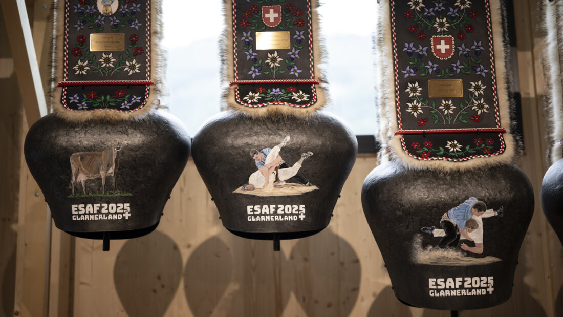 Blick in den Gabentempel des Eidgenössischen Schwing- und Älplerfestes 2025 Glarnerland+ in Mollis GL. Treicheln stellen den häufigsten Sachpreis für die Schwinger dar. 20250815204503720.jpg