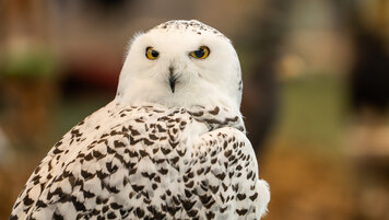 Keystone/dpa/Silas Stein 20260330053522680.jpg