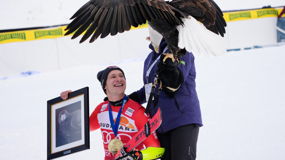 Der Weisskopfseeadler und der Schweizer Überflieger, der auf der Raubvogelpiste zweimal seine Krallen ausgefahren hat 20251207231919778.jpg