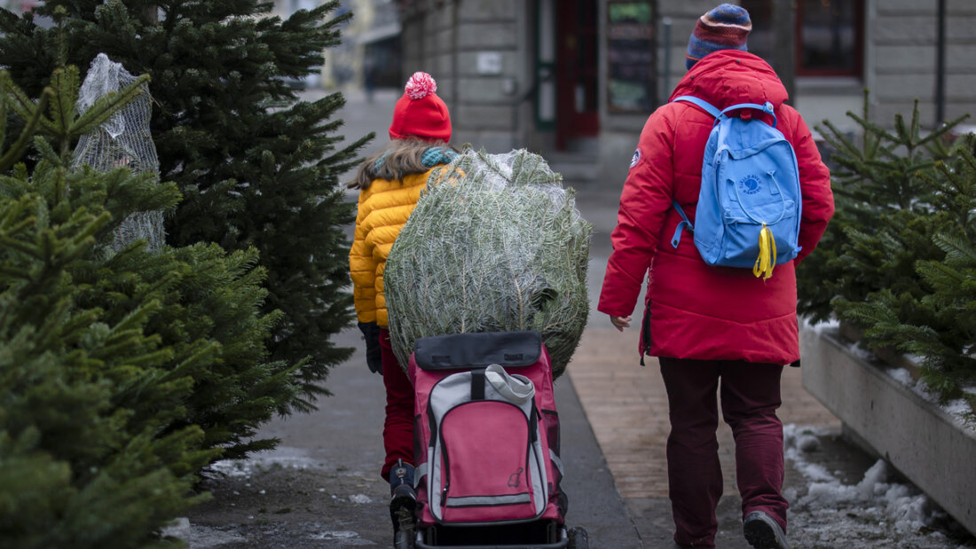 Alle Jahre wieder: In der Schweiz ist der Tannenbaum ein fester Bestandteil der Weihnachtstradition. Jährlich werden 1,7 Millionen Christbäume verkauft. (Archivbild) 20251206100017047.jpg