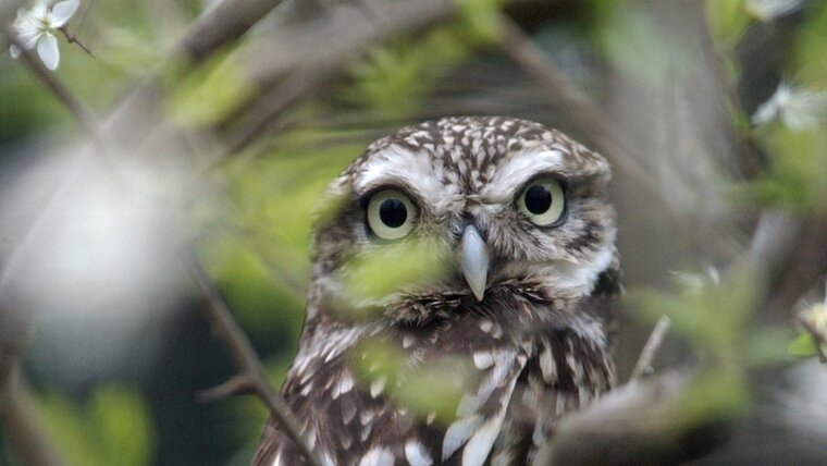 KEYSTONE/MARKUS STUECKLIN 20250826091929760.jpg