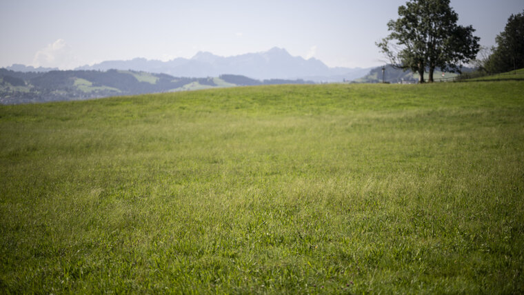 KEYSTONE/GIAN EHRENZELLER 20250904090328362.jpg