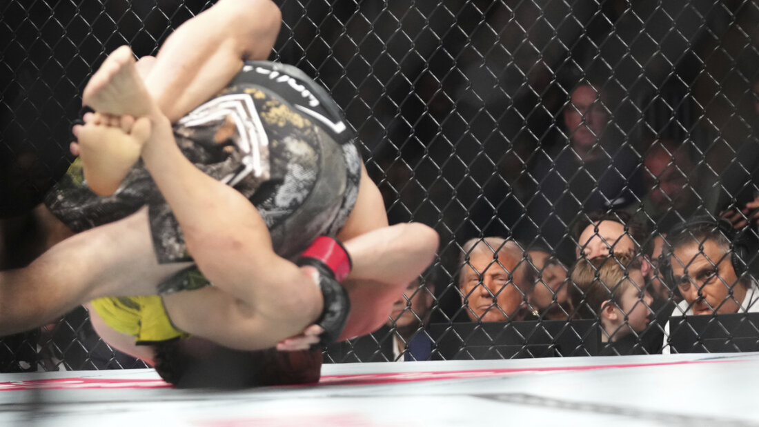 ARCHIV - US-Präsident Donald Trump (l-r), Elon Musk und sein Sohn X Æ A-Xii besuchen einen Mixed Martial Arts-Kampf bei UFC 314 Ultimate Fighting Championship in Miami. Foto: Lynne Sladky/AP/dpa 20260614034726577.jpg