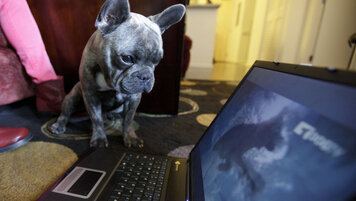 KEYSTONE/AP/Gregory Bull 20250718053139441.jpg