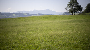 KEYSTONE/GIAN EHRENZELLER 20260218143231512.jpg