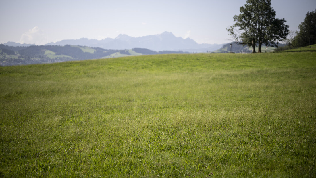 Nach Ansicht der Regierung sollen nur diejenigen Landwirtschaftsböden untersucht werden, bei denen es einen klaren Verdacht auf eine Belastung durch PFAS gibt. (Archivbild) 20260218143231512.jpg