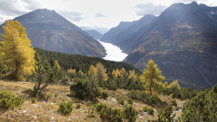 KEYSTONE/GAETAN BALLY 20250729093034937.jpg