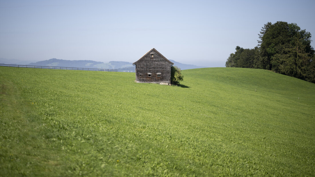Die Böden auf der Eggersrieter Höhe im Kanton St. Gallen sind stark mit PFAS belastet. Das Fleisch von dort weidenden Tiere überschreitet die Grenzwerte, weshalb der Kanton Massnahmen einleitete. (Archivbild) 20251117151704474.jpg