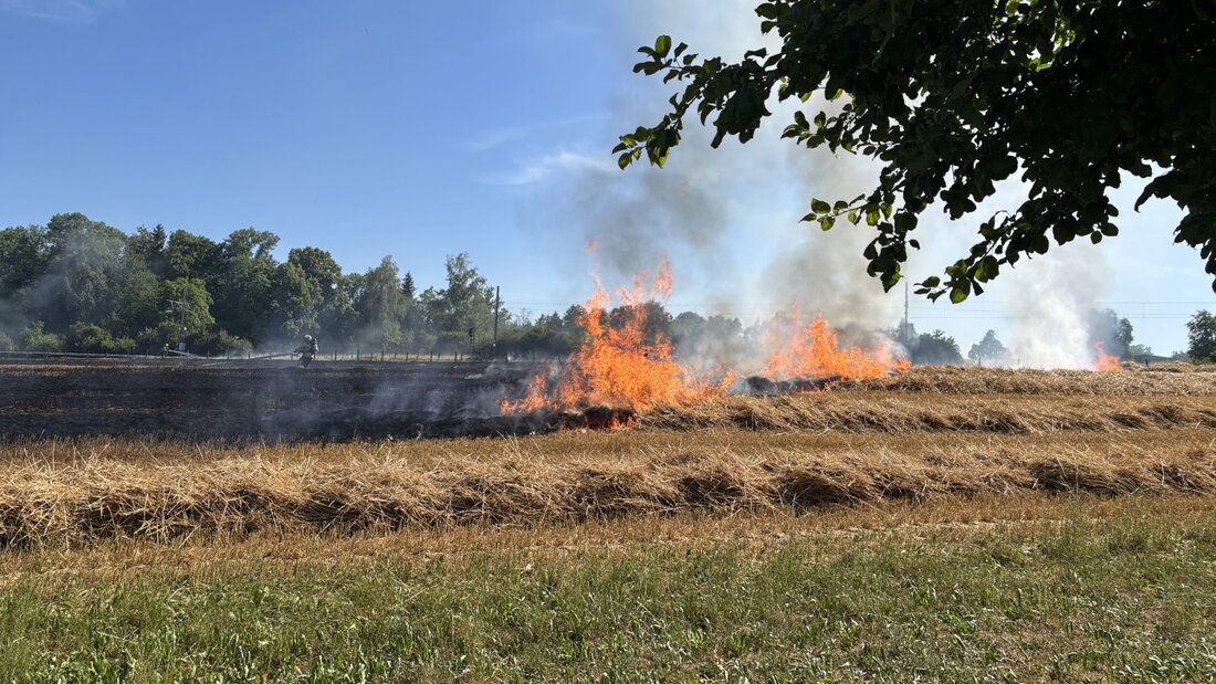 In Winden TG ist ein Weizenfeld in Brand geraten. 20260713110514494.jpg