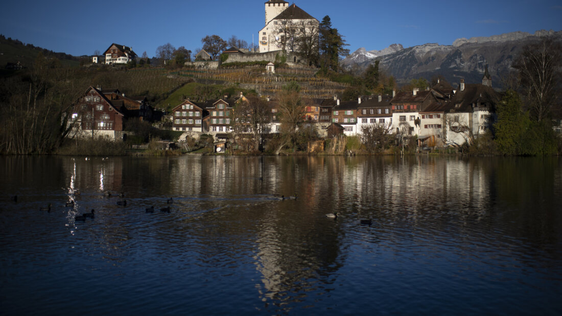 Aus einem Auto floss Öl in den See beim Städtchen Werdenberg SG. (Archivbild) 20251212091135765.jpg