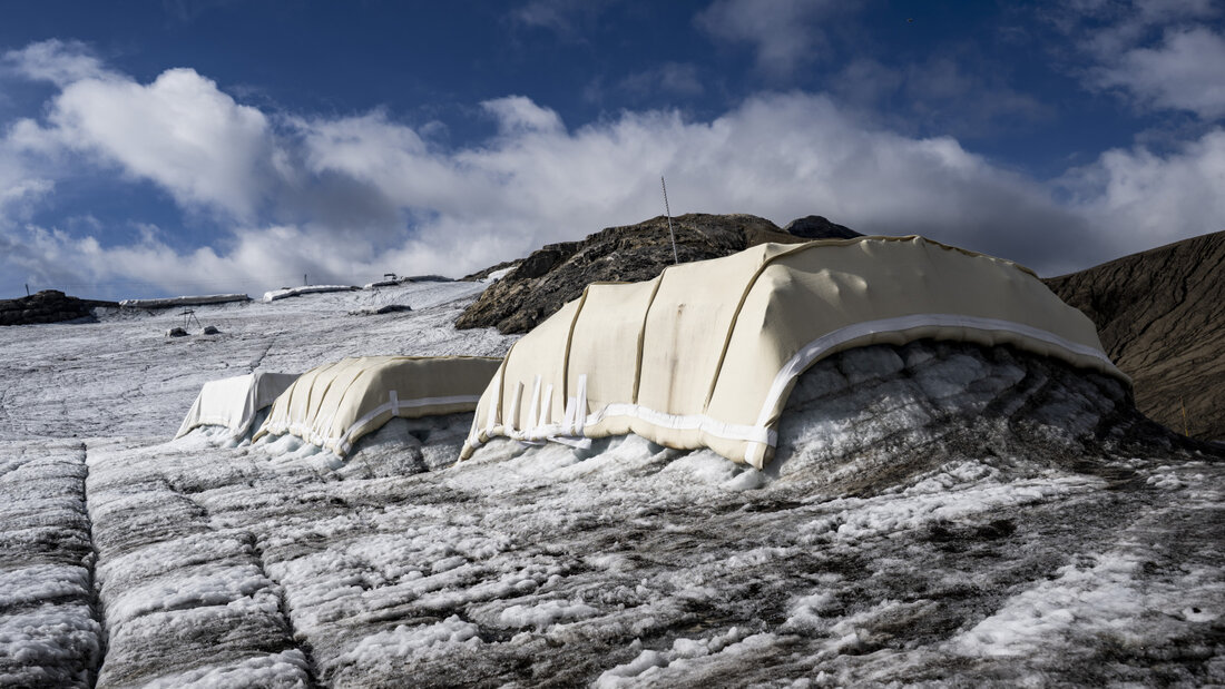 Schafwolle statt Plastik: Der Versuch mit dem Namen "Keep it Wool" auf einem Waadtländer Gletscher zeigt, dass das Naturmaterial die Eisschmelze in gleichem Masse bremst wie herkömmliche Schutzplanen. 20260902143712373.jpg