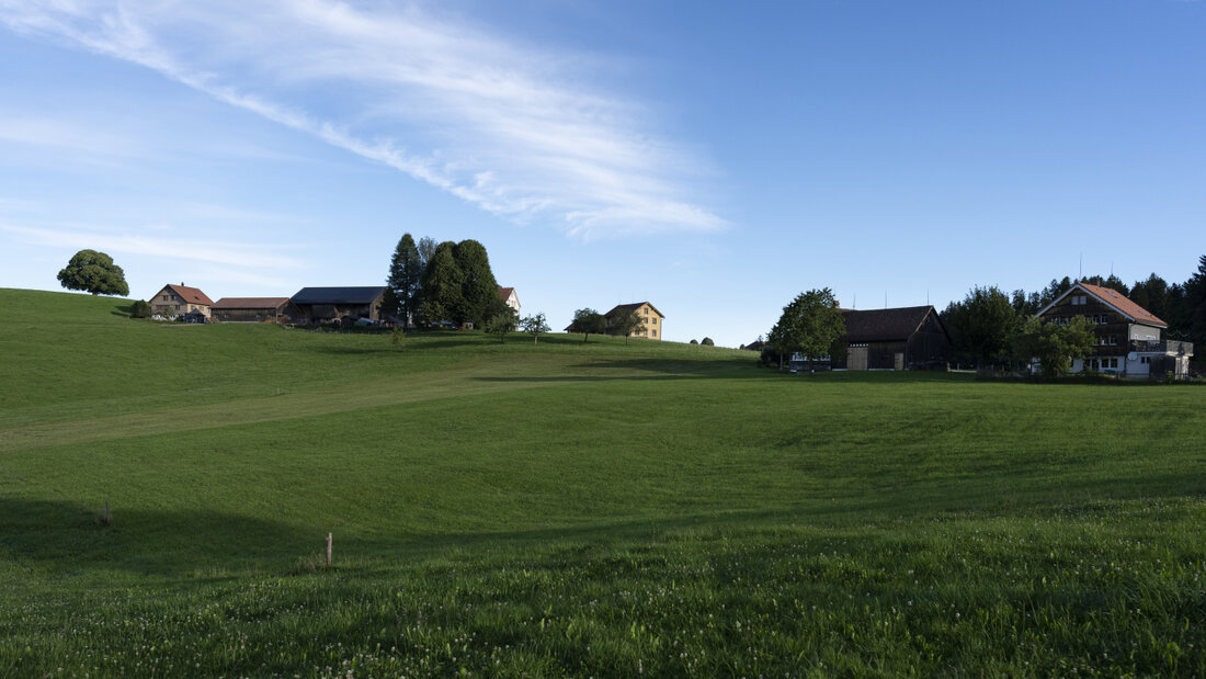 Im Siedlungsgebiet darf man im Kanton Appenzell Ausserrhoden wieder Grillieren, im Wald nicht. Im Bild: Landschaft bei Wald AR. 20260819113141427.jpg