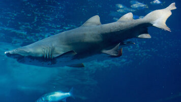 KEYSTONE/DPA-Zentralbild/STEFAN SAUER 20251217113246679.jpg