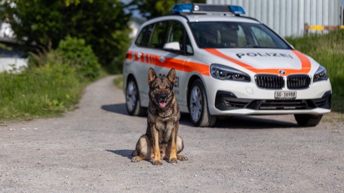 Diensthund Erol stellte einen der mutmasslichen Diebe. 20260331120425181.jpg