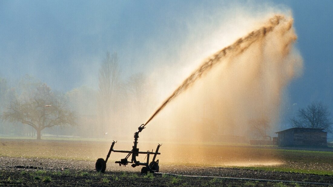 Ausgelaufene Gülle hat am Donnerstag in Nesslau zu einer Gewässerverschmutzung geführt. (Symbolbild) 20260411094344987.jpg