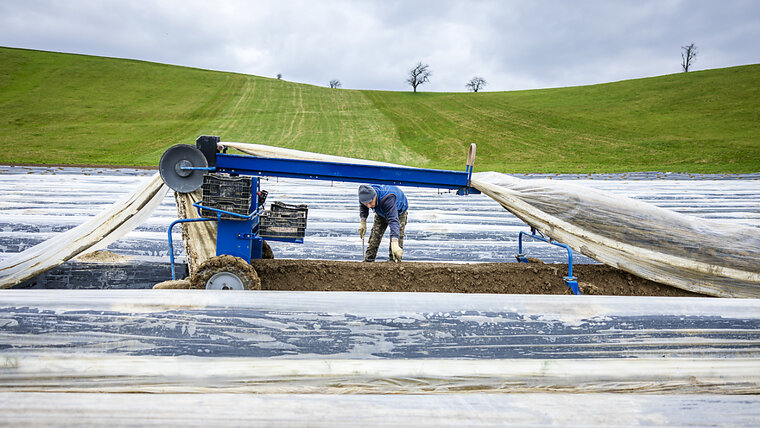 KEYSTONE/MICHAEL BUHOLZER 20250327170630879.jpg