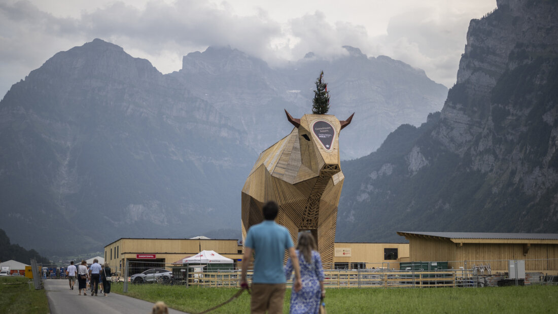Der riesige Holzmuni Max wurde schnell zum Wahrzeichen des Eidgenössischen Schwing- und Älplerfests in Mollis GL. Lokale Politiker hätten ihn gerne im Kanton behalten. (Archivbild) 20250901152545782.jpg