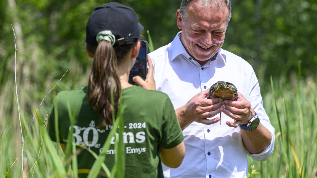 Der Freiburger Staatsrat Didier Castella beim Aussetzen einer Sumpfschildkröte am Freitag am Neuenburgersee. 20250613141123840.jpg