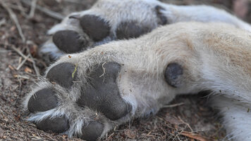 KEYSTONE/DPA/PATRICK PLEUL 20251203104041577.jpg