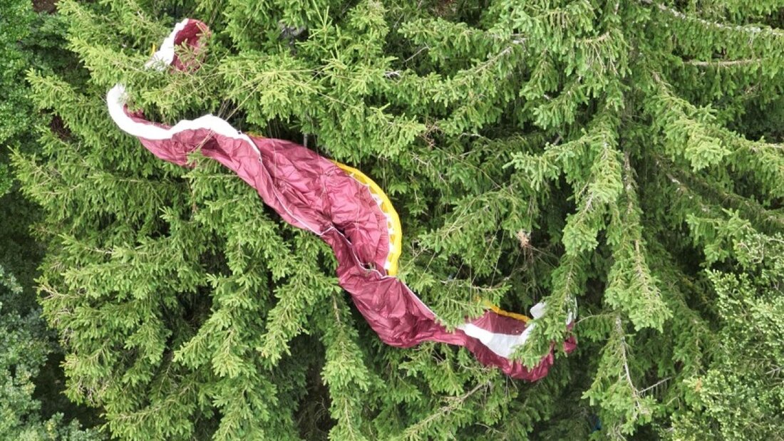 Der Schirm des Gleitschirmpiloten hat sich in einer Baumkrone verfangen. 20250712115835636.jpg