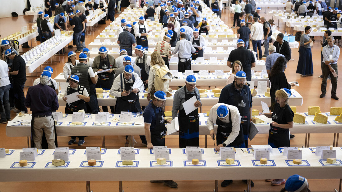 An den Vorausscheidungen im Freiburger Gemeindesaal St-Léonard in Freiburg nahm eine internationale Jury mit mehr als 200 Mitgliedern teil. 20261006155846751.jpg