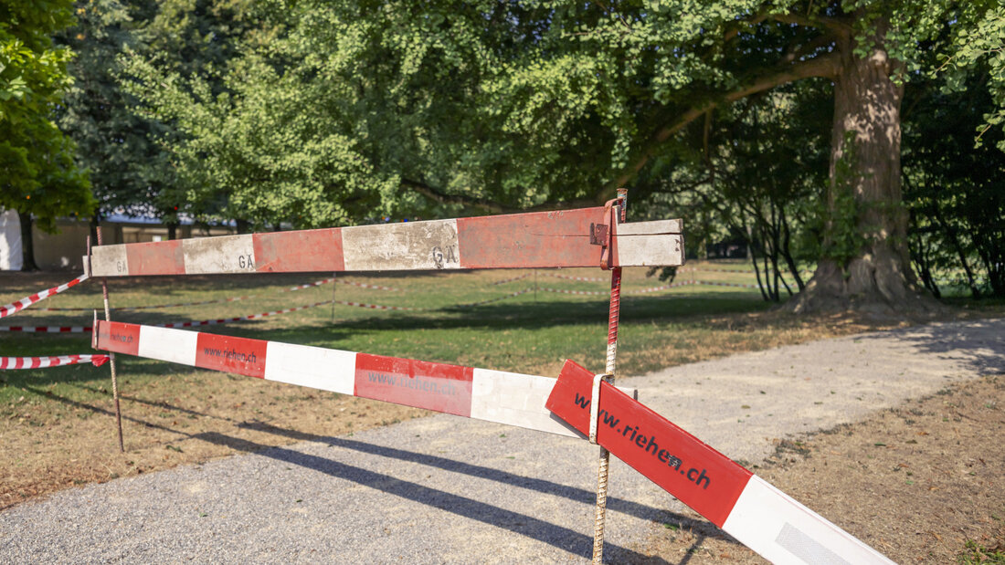 Wegen der Gefahr von herabfallenden Ästen als Folge der Trockenheit musste in Riehen (BS) ein Park gesperrt werden. (Archivbild) 20260825113704750.jpg