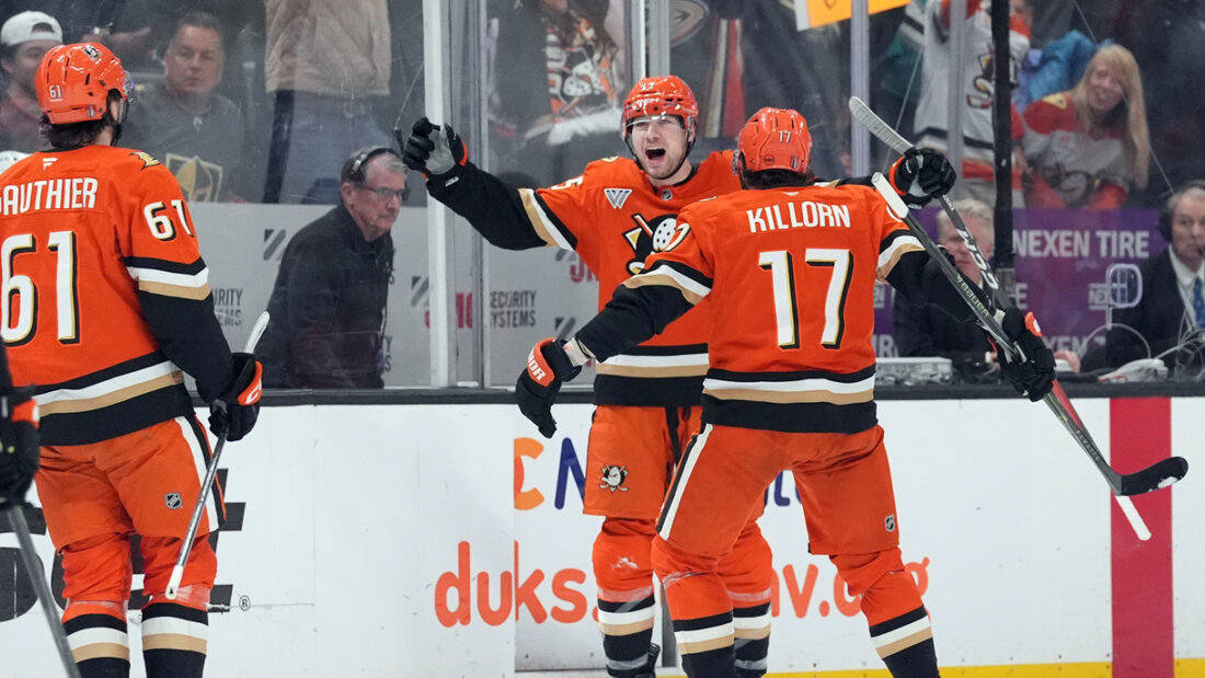 Die Spieler der Anaheim Ducks bejubeln den neuerlichen Ausgleich in der Serie gegen die Vegas Golden Knights 20260511063336969.jpg
