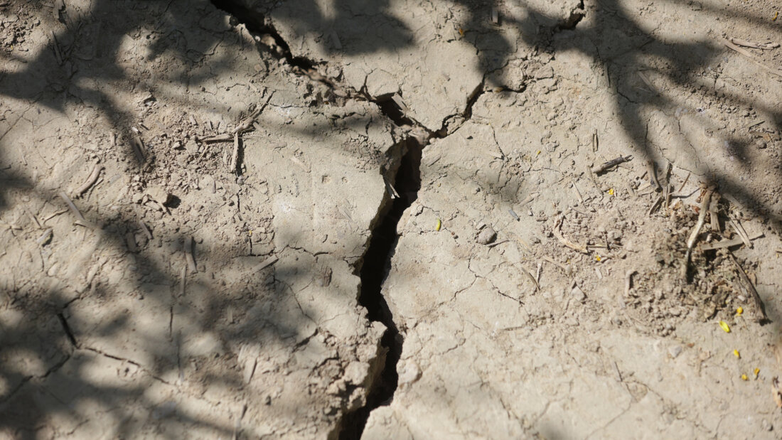 Die Hitze und Trockenheit der letzten Monate verstärken den Druck auf den Kanton St. Gallen, bereits erarbeitete Massnahmen schneller umzusetzen. (Archivbild) 20260922142635285.jpg