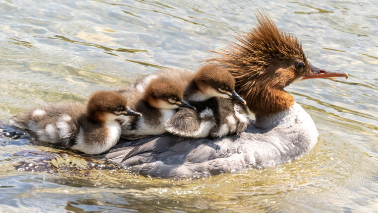 KEYSTONE/DPA/PETER KNEFFEL 20260206150022707.jpg