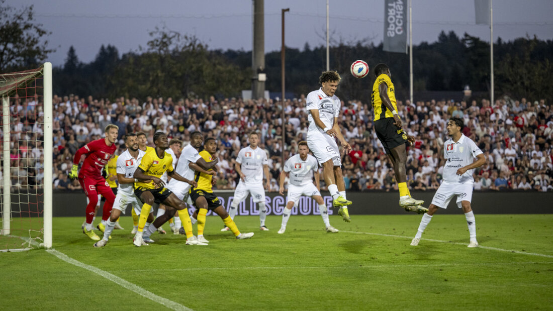 Im Brügglifeld will Aarau nach YB auch den FC Sion besiegen 20251204050015804.jpg